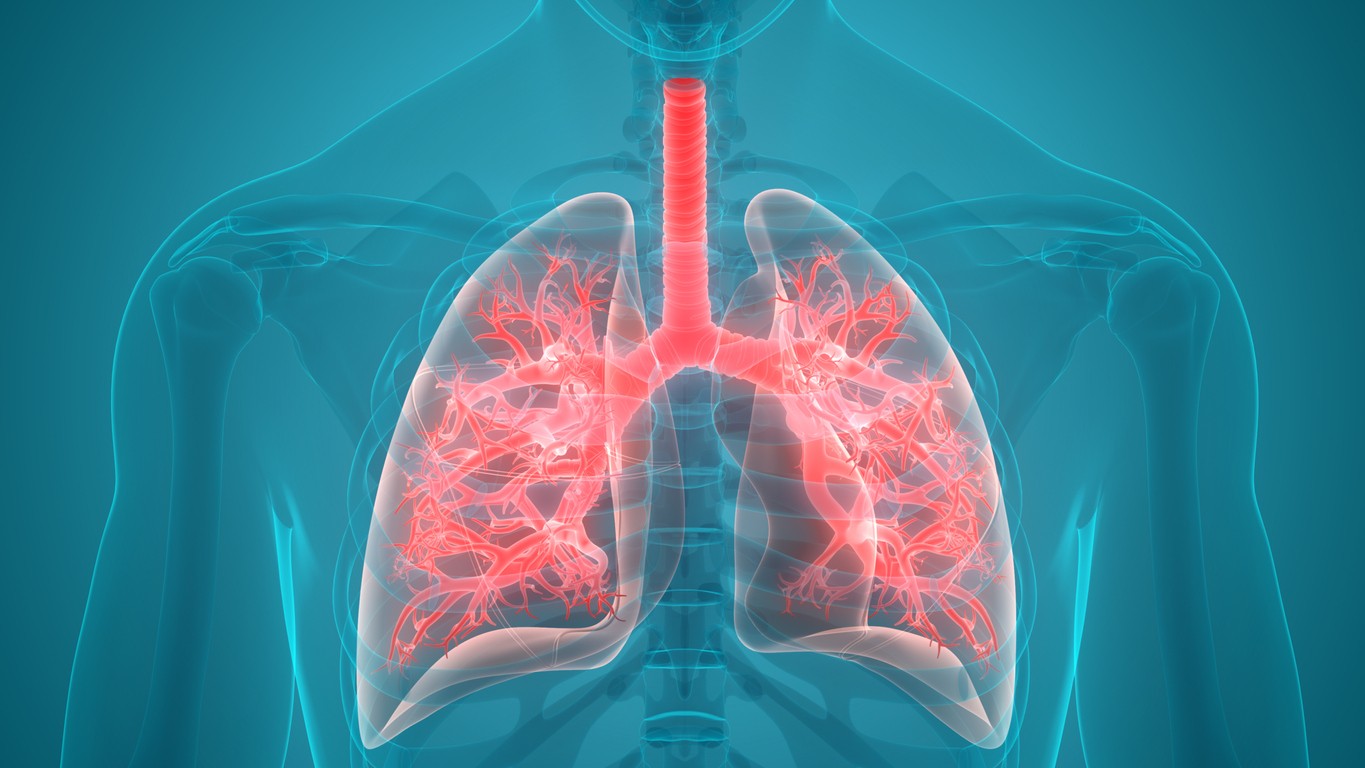 Cinco alimentos vegetales que fortalecen y sanan tus pulmones
