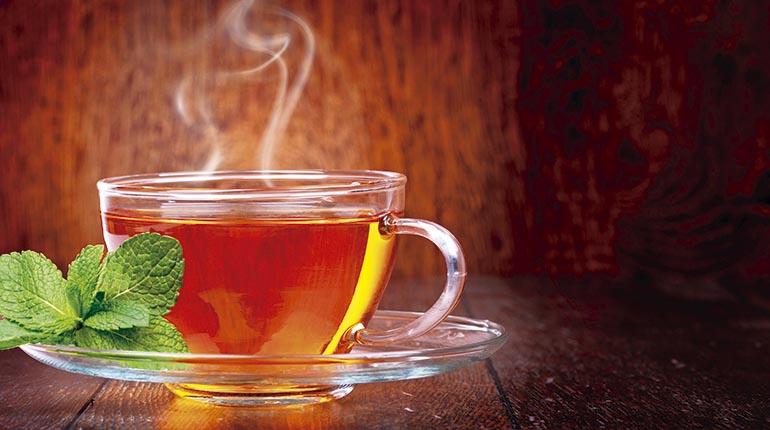 Lo que debes saber del té de hueso de aguacate y sus beneficios