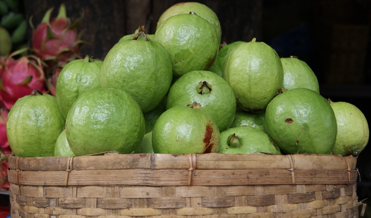 Los beneficios de comer Guayaba