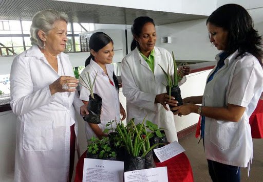 Medicina Natural, Tradicional y Complementaria: un conocimiento a preservar por la salud