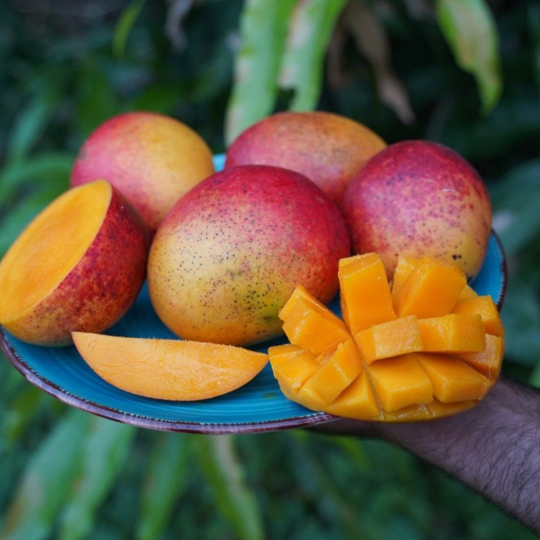 ¡Mango, mango, mango, que sabroso mango!